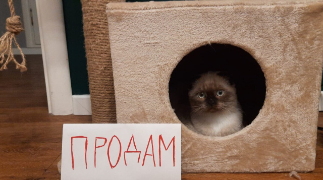 Да, я выставляю это фото третий год подряд - лучше на эту тему уже не сделаю.