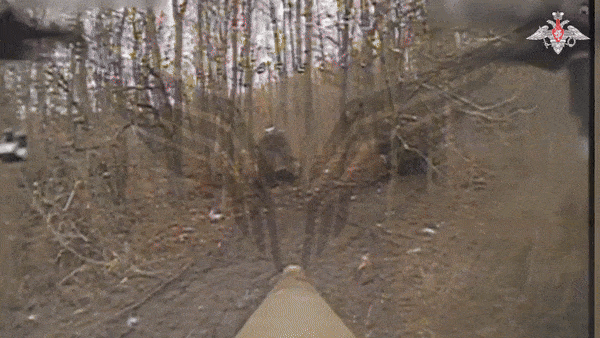    Расчёты FPV-дронов продолжают расправляться с бронированной и автомобильной техникой ВСУ в курском приграничье//Видео с официального ТГ-канала Минобороны