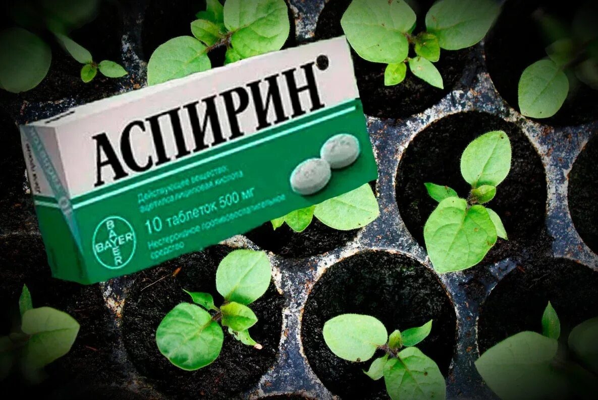 Идеально для перцев, баклажанов, томатов