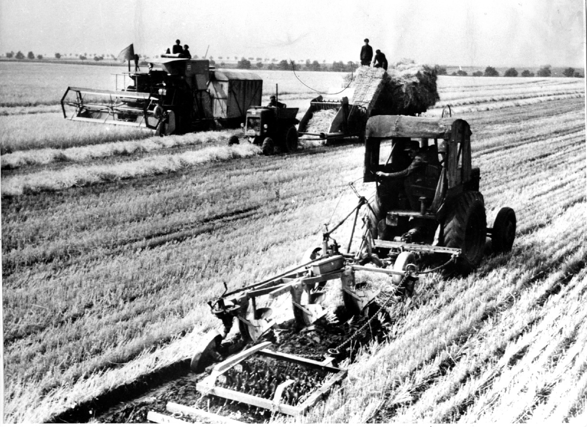 Германская Демократическая Республика. Большую помощь труженикам сельского хозяйства республики оказывают машинно-тракторные станции. На снимке: механизаторы МТС имени Вильгельма Пика в Обхаузене во время уборочных работ. 05.10.1956, фото ТАСС.