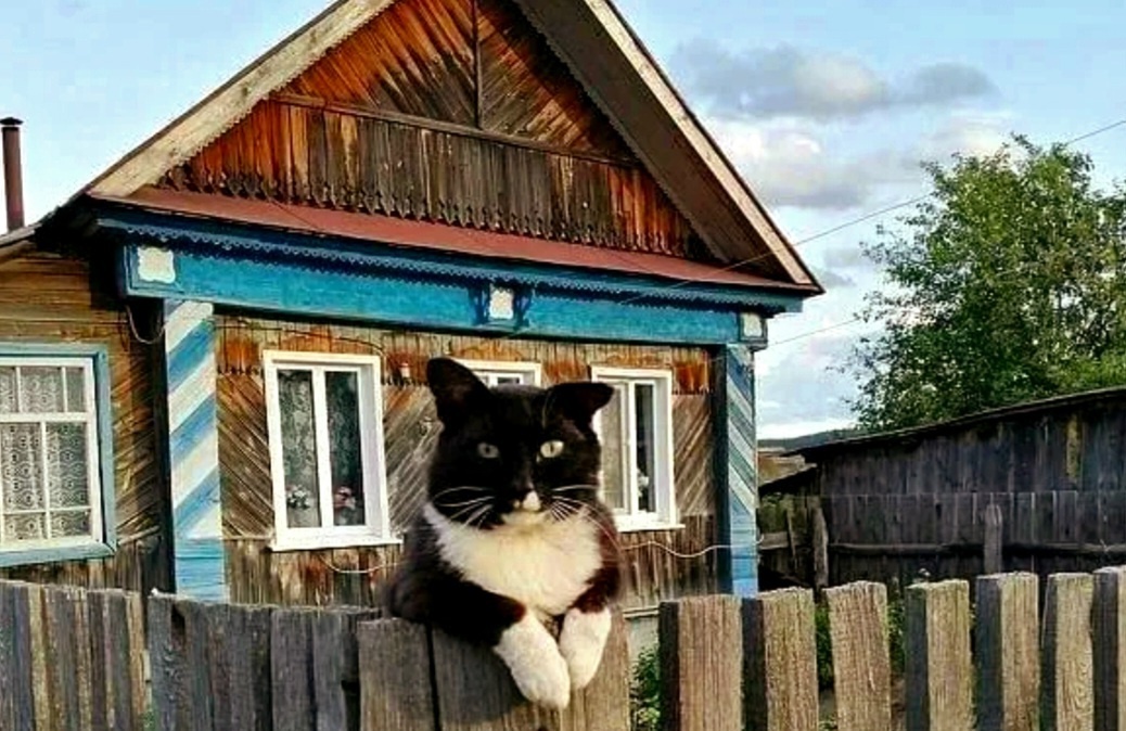 Ни один вор не пройдет! ->->->