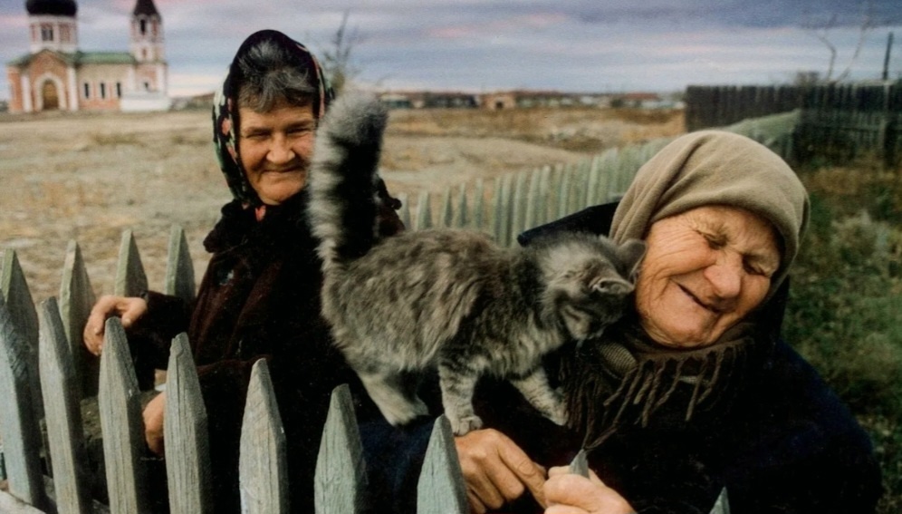 Немного можно отвлечься от патрулирования и получить порцию ласки от любимой бабули 