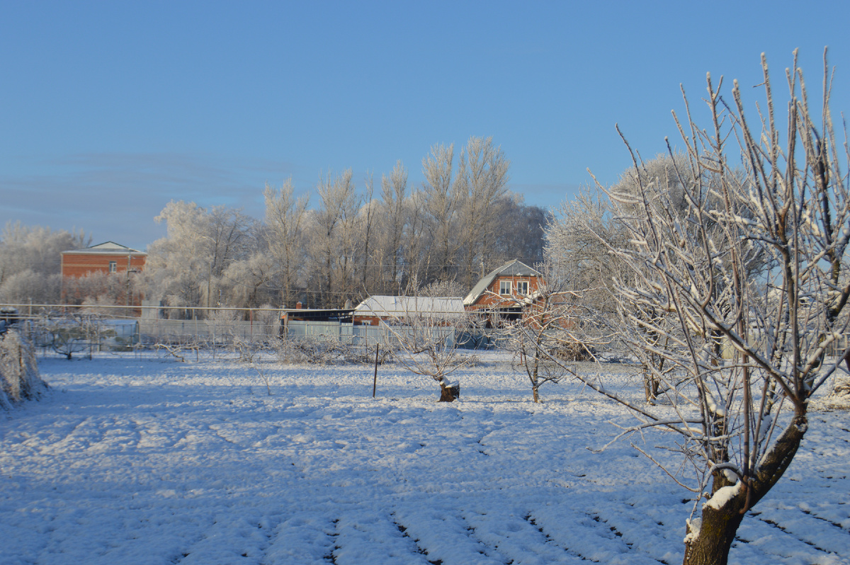 Фото автора. 15.01.2025. Станица. На Кубань пришла зима.