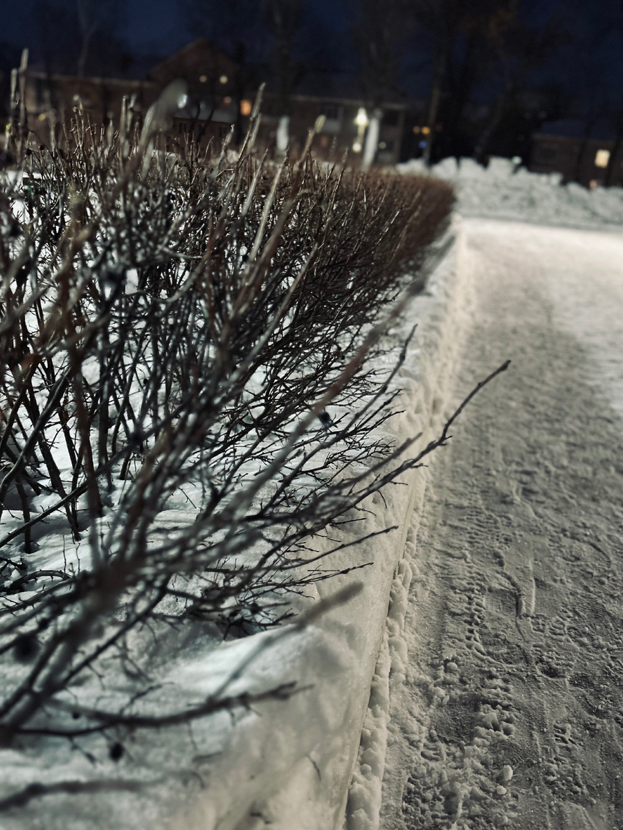 Фотография автора канала.