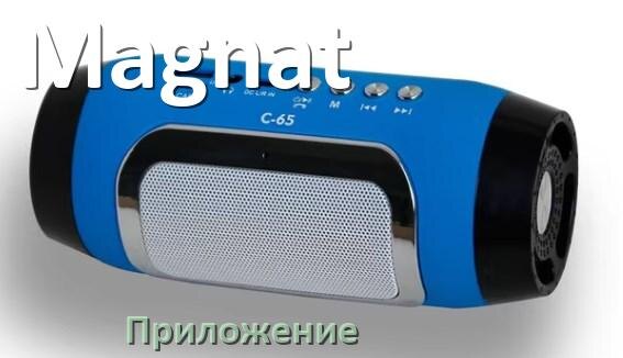 
Приложение для колонки Magnat для настройки, подключения, управления