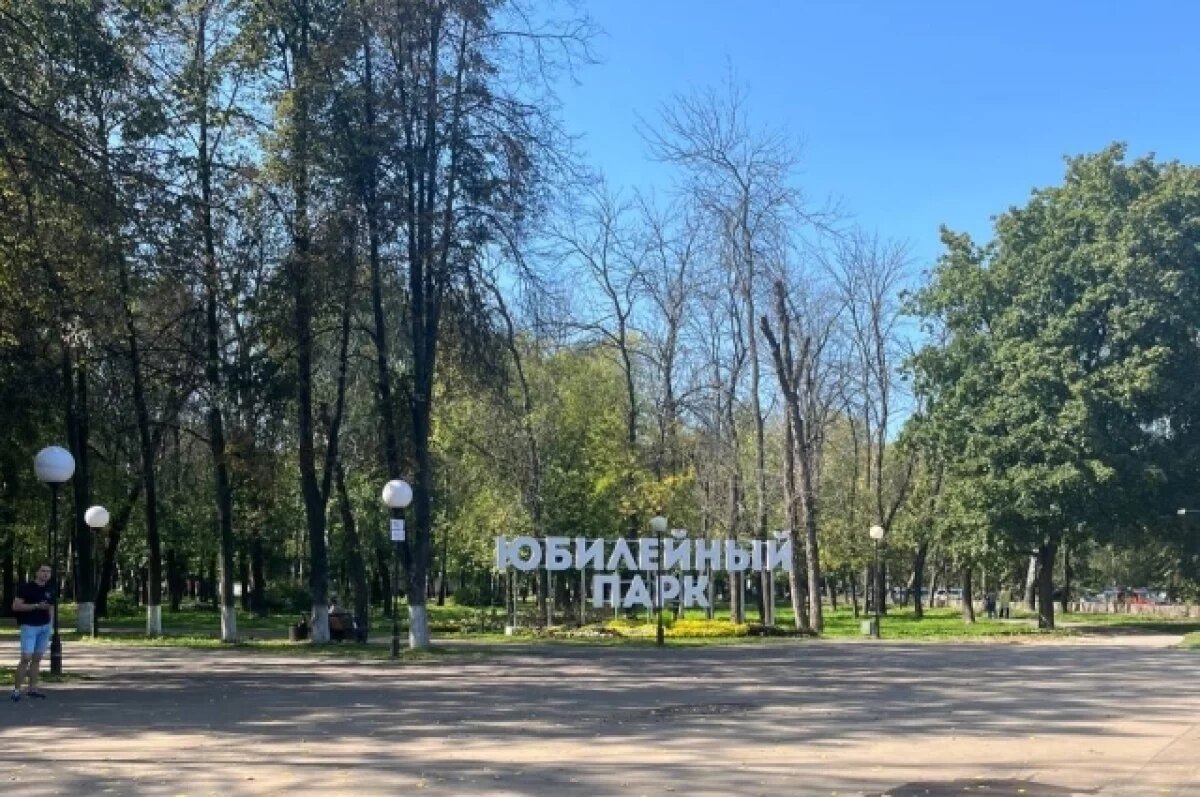    Из-за красноярского поставщика в ярославском парке сорвался Новый год