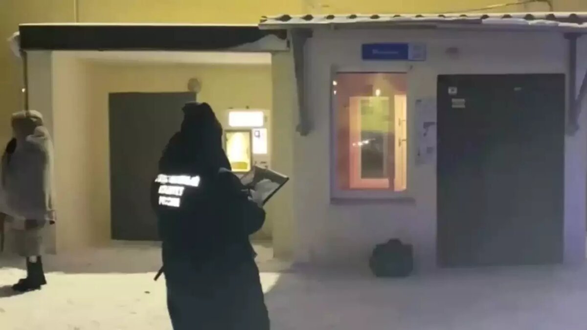     Источник: пресс-служба СУ СК России по Пермскому краю.