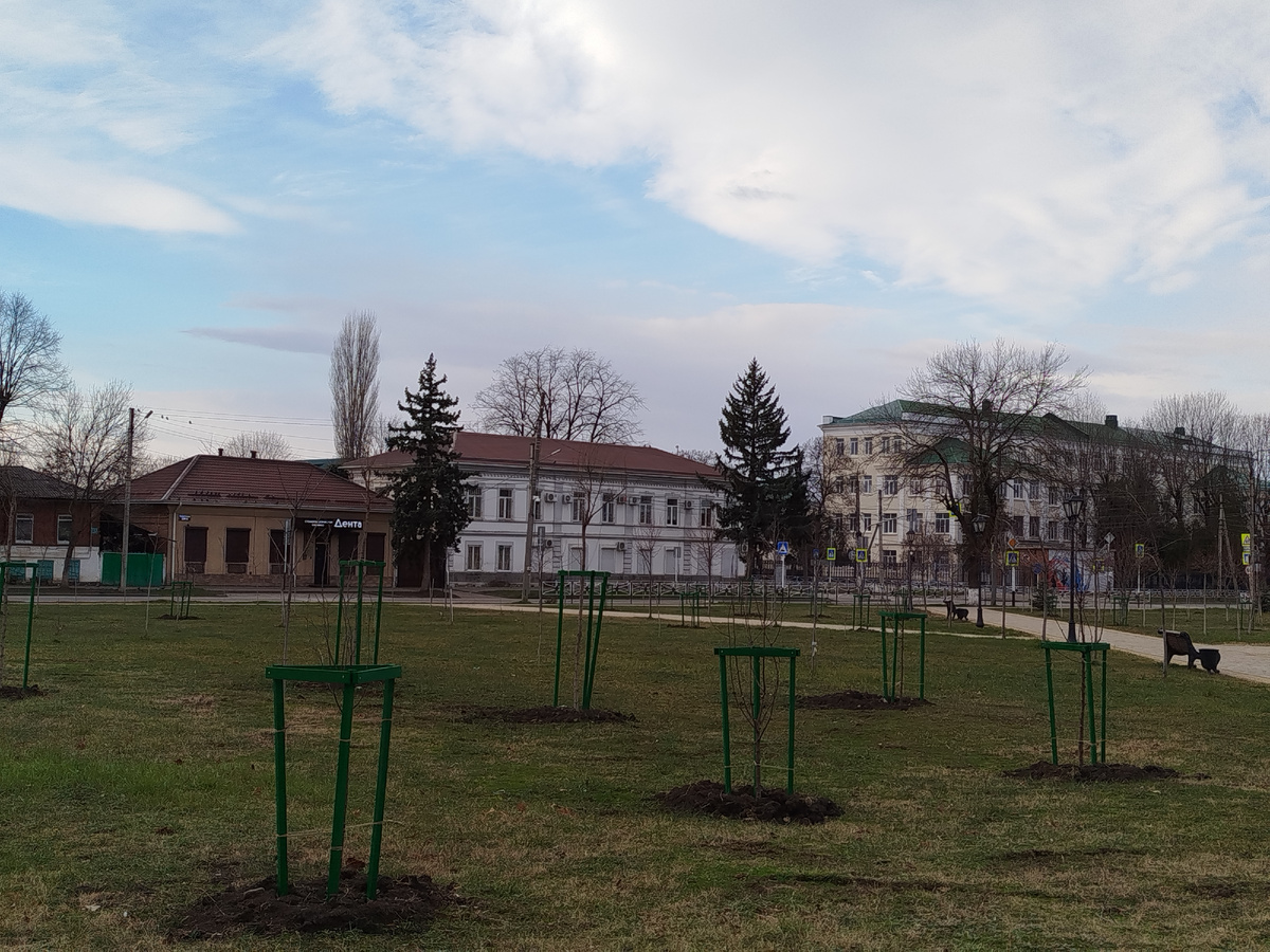здесь и далее в галерее - фото с улиц города
