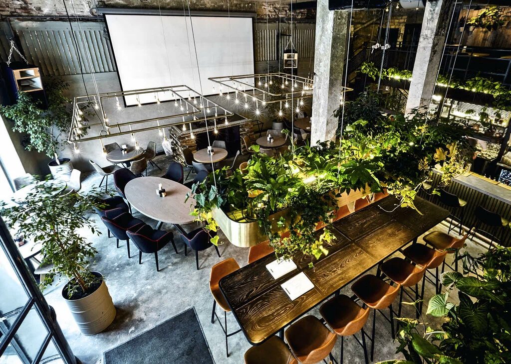 фото из свободного источника