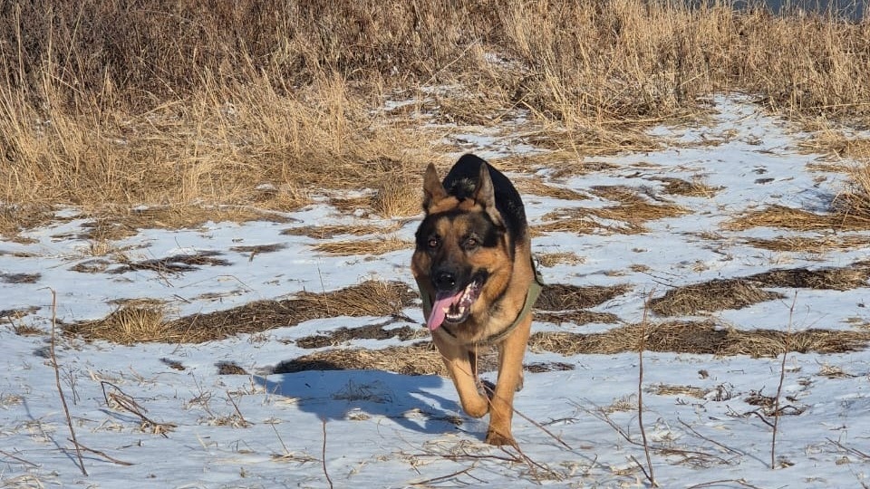     Источник: vostokmedia.com