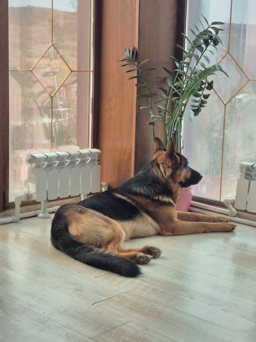     Источник: vostokmedia.com