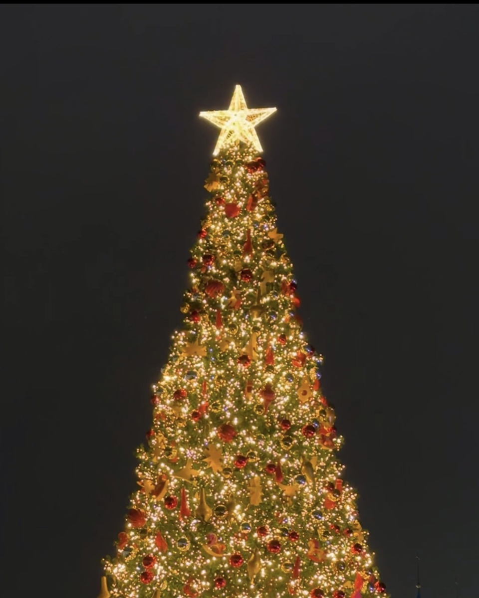 Самая красивая ель Казани