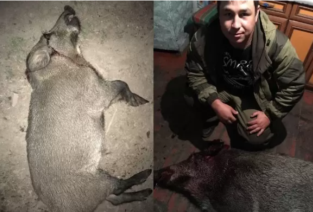 фотографии сделаны в белгородской области 5 лет назад