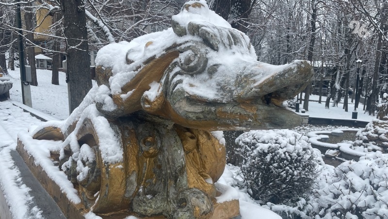 Фото: Кристина Кузёма / ИА «Победа26»
