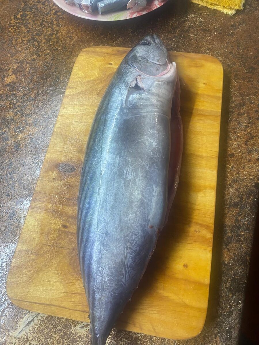 Чистим рыбу (у меня наверное мокрель). Обрезаем все плавники. Голова и хвост нам понадобится когда будем собирать рыбу.