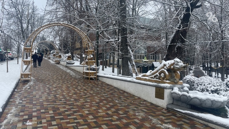 Фото: Кристина Кузёма / ИА «Победа26»
