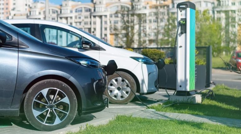    Фото: freepik.com Дарья Федотова