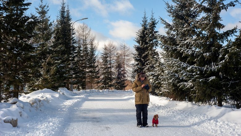 Источник: Мослента