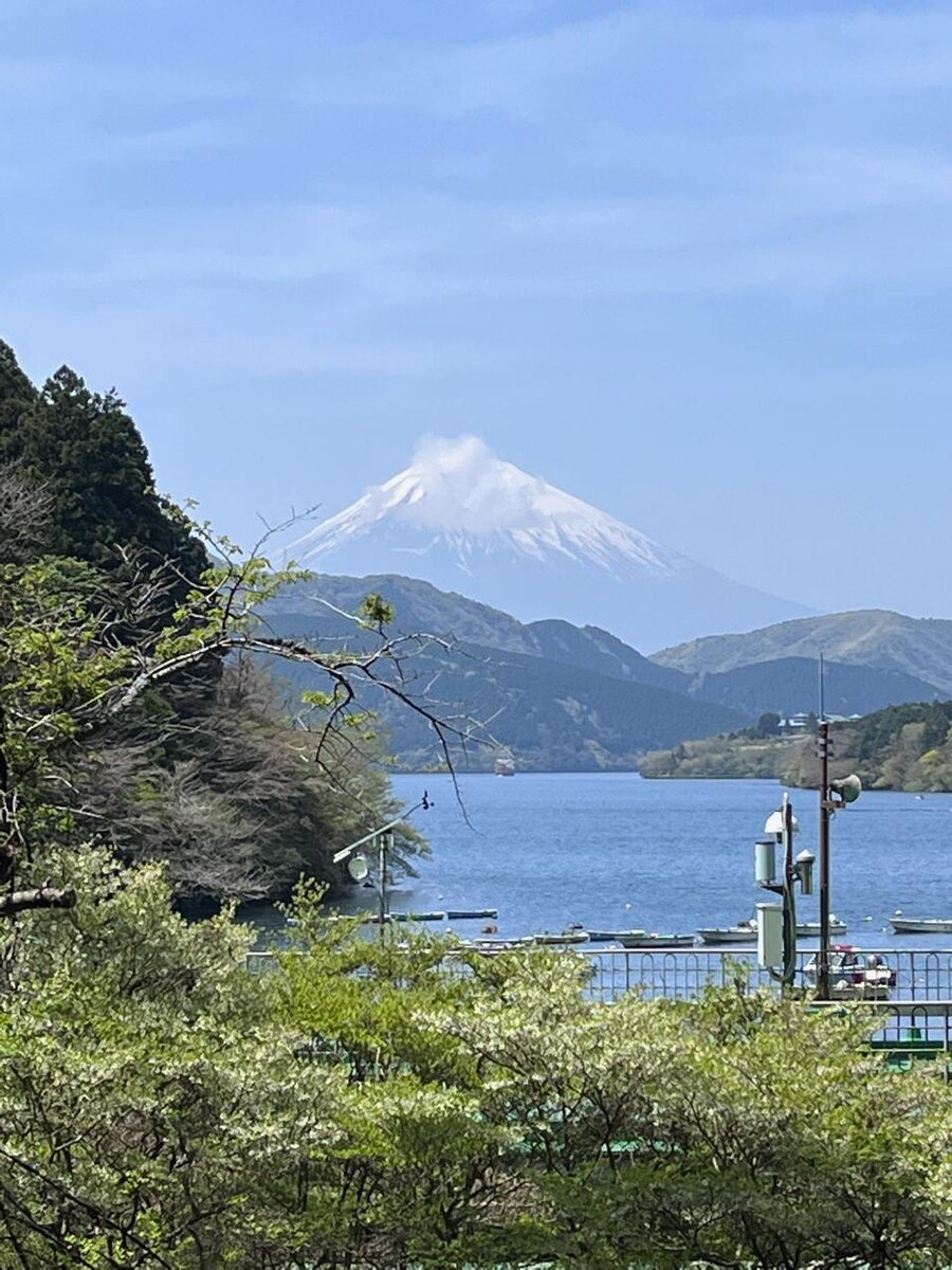 Фото из личного архива Алины Авраменко