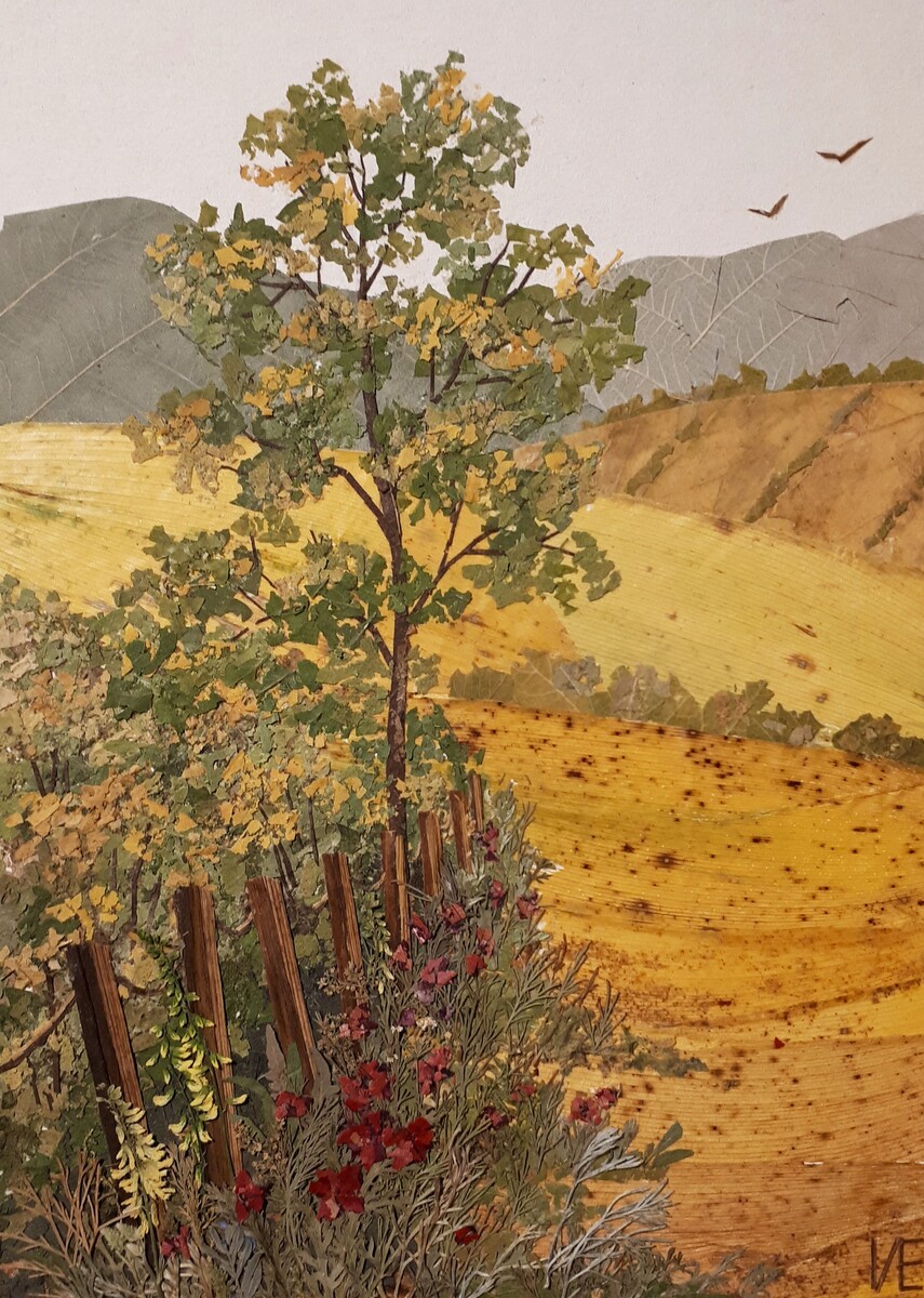 Eugenia Ivanova (Pressed flower artist. Member of World Wild Pressed Flower Guild and Russian union of Pressed Plant Art) eugeniaivanova5