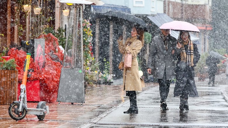 Источник: Валерий Шарифулин/ТАСС