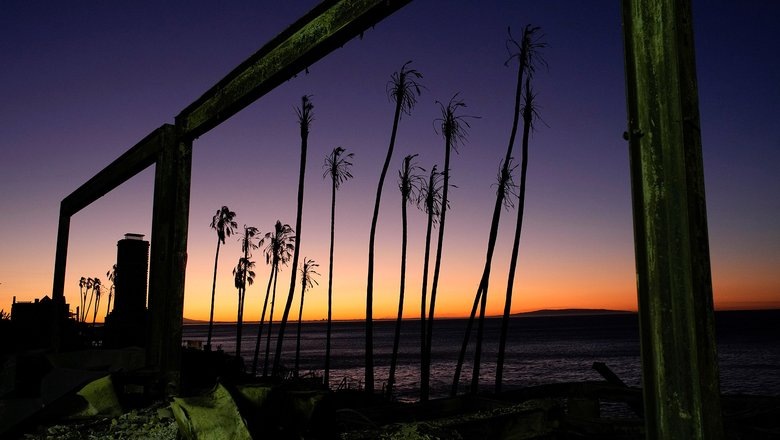 Источник: AP 2024