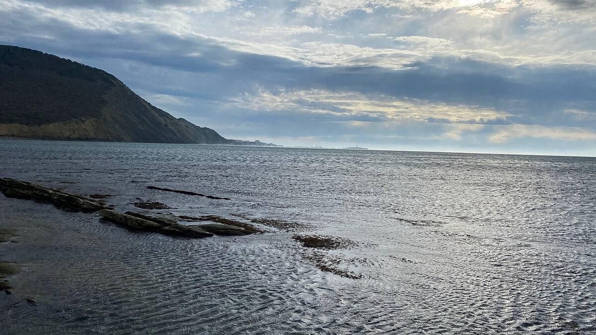    Фото: телеканал «Краснодар»