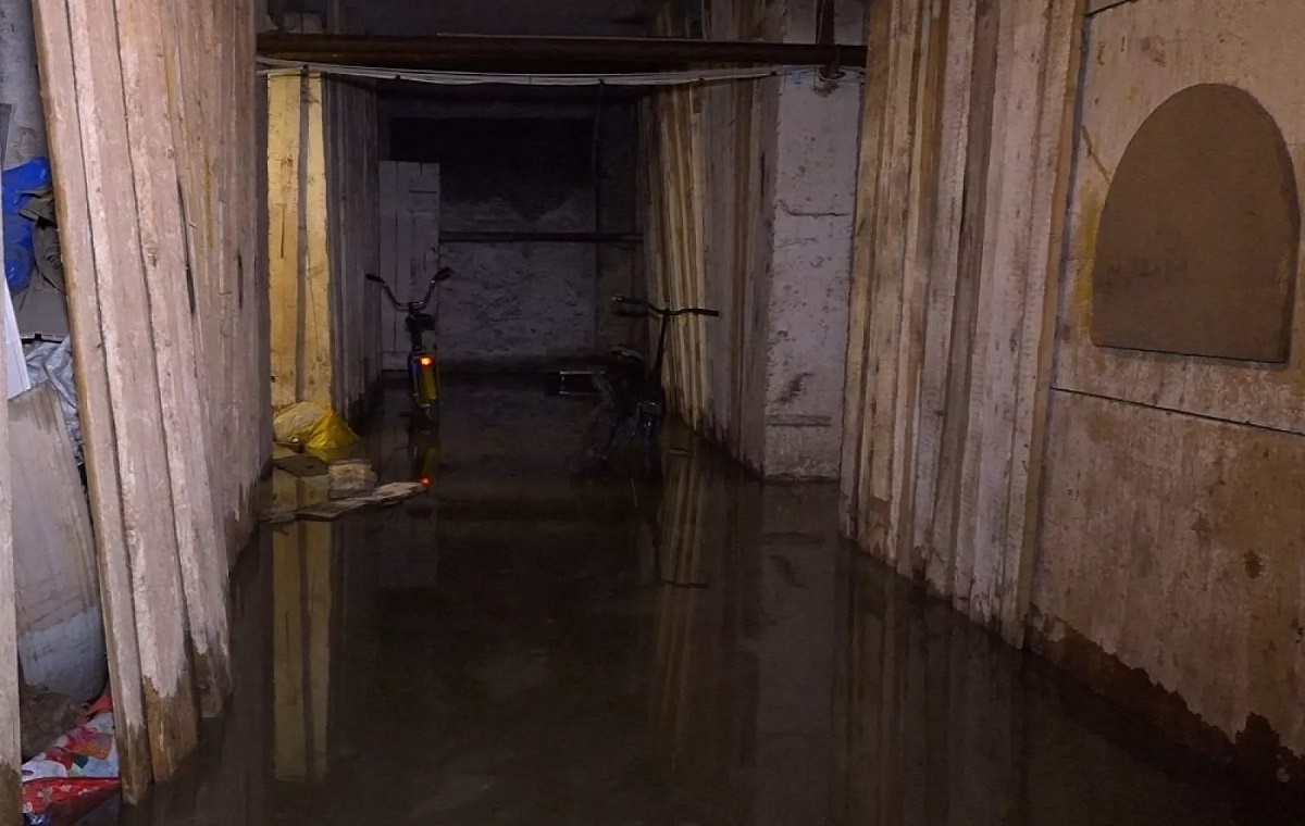 Фото: скриншот из сюжета «Бийского телевидения»