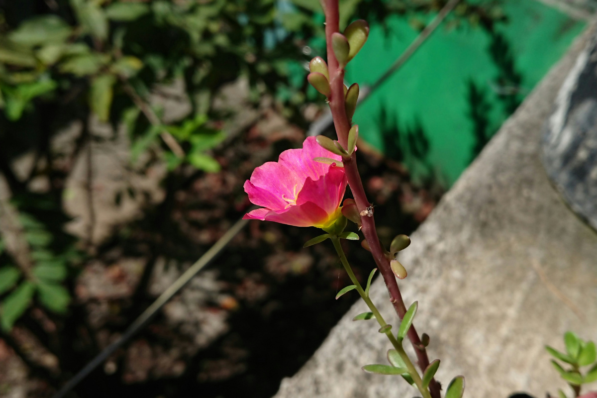 Картинка с бесплатного фотостока https://unsplash.com, автор Lhar Capili