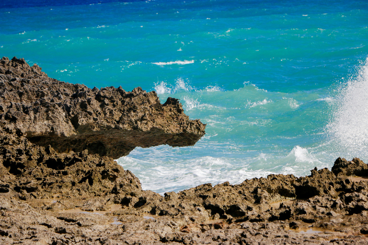 Картинка с бесплатного фотостока https://unsplash.com, автор Alberto Colon