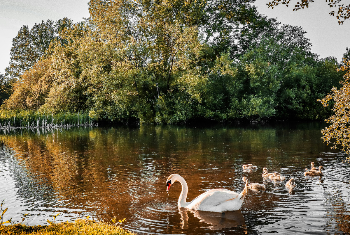 Картинка с бесплатного фотостока https://unsplash.com, автор Brussel Banda