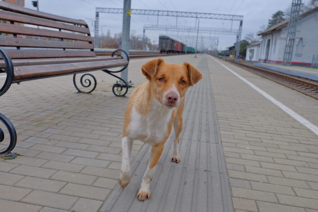    Фото из архива "Голоса правды"