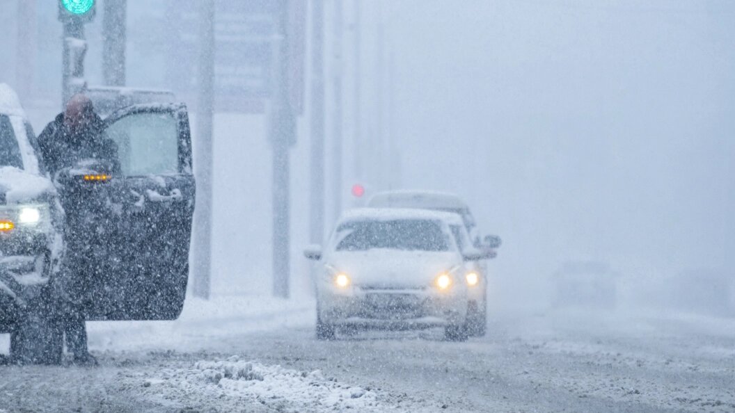    Фото: Константин Кокошкин/Globallookpress.