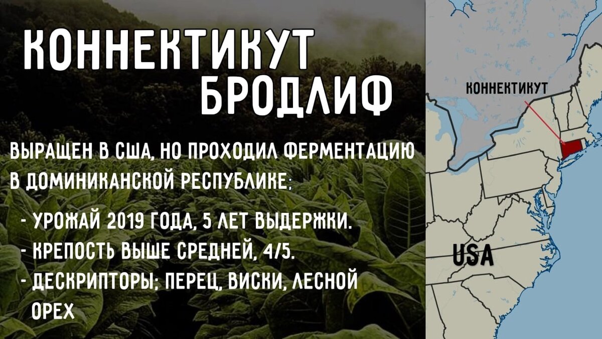 Догма - Коннектикут Бродлиф