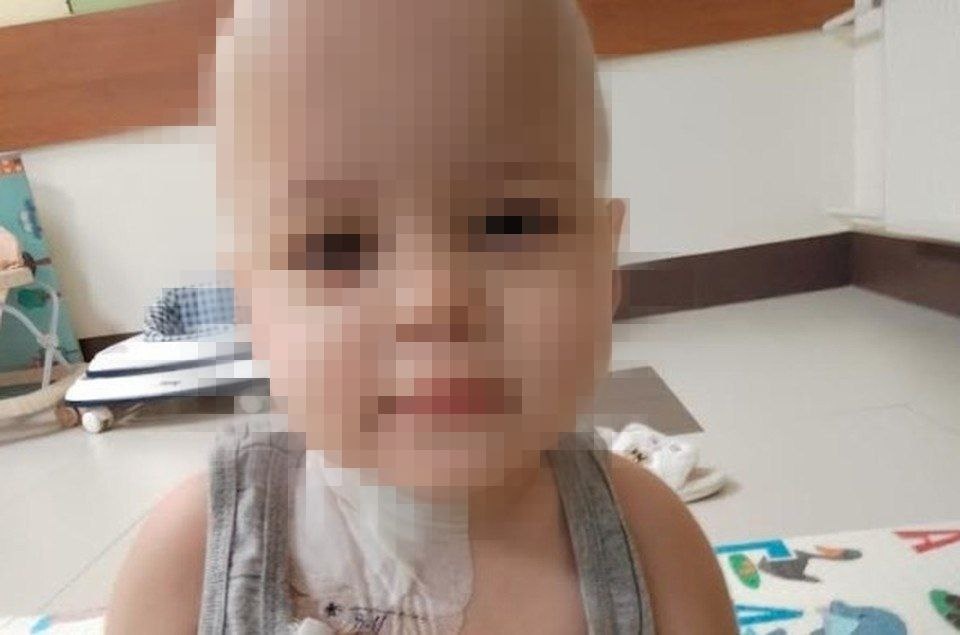 Фото: из материала "KP.RU:Комсомольская правда"