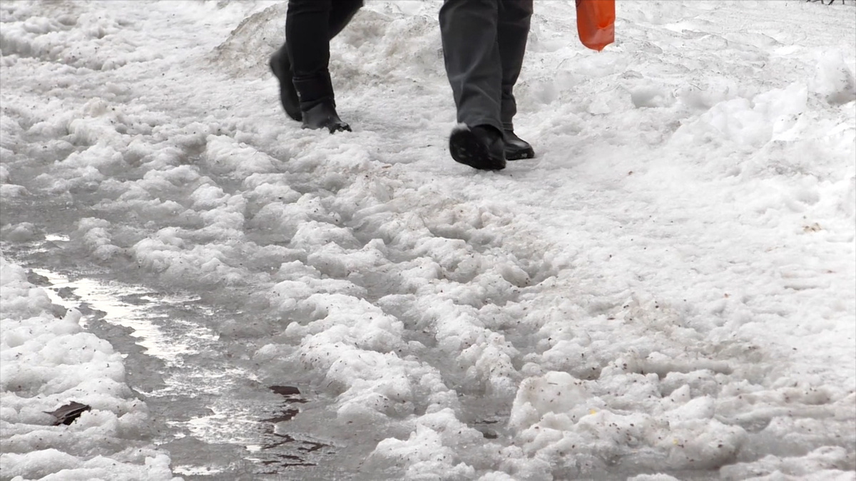    Фото: ГТРК Карелия