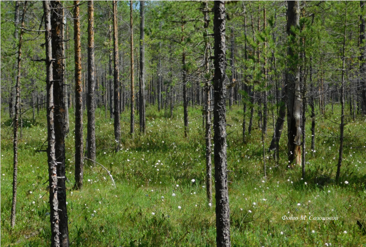 Фото М. Созоновой