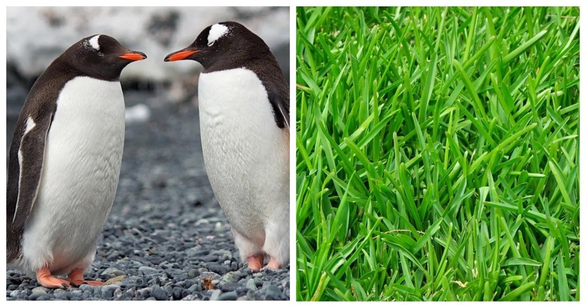 Источник: boredpanda.com