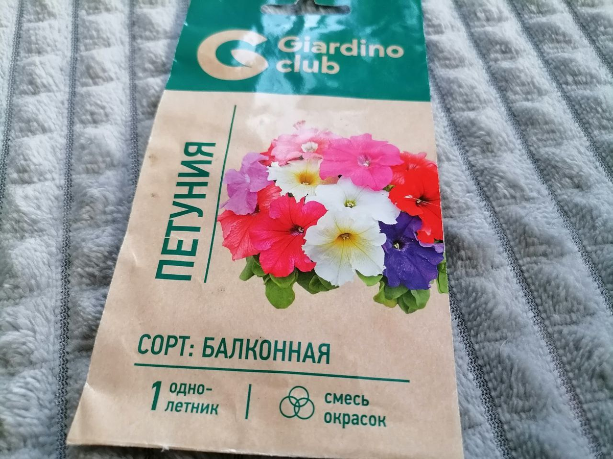 Сеяла их в прошлом сезоне, фото автора