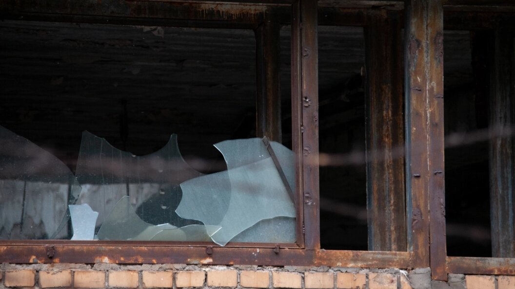    Фото: Svetlana Vozmilova/Global Look Press/Globallookpress