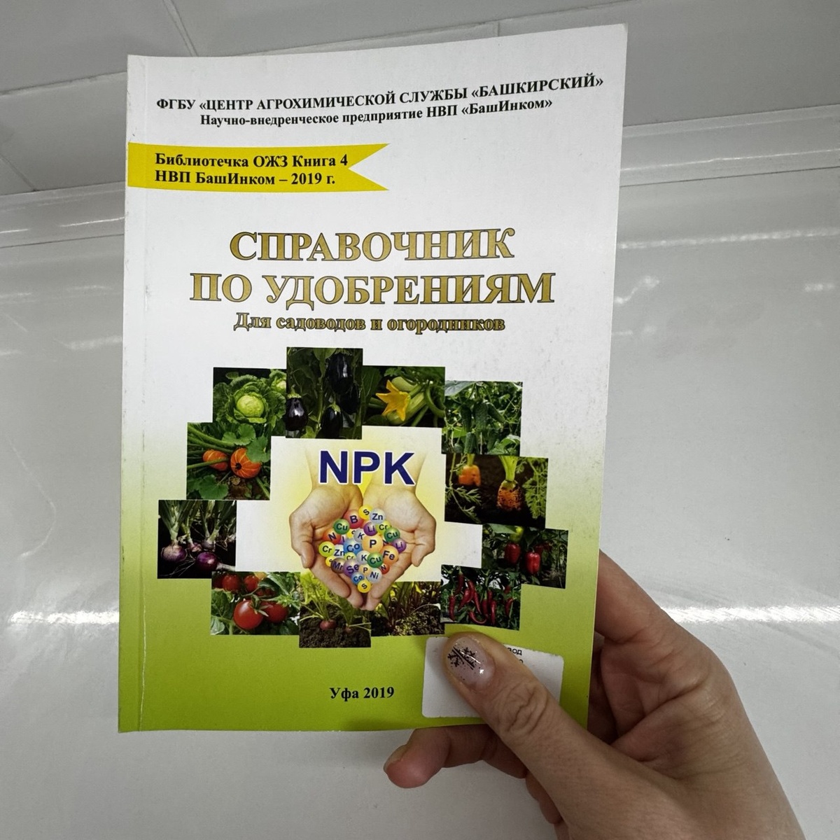 личное фото автора 