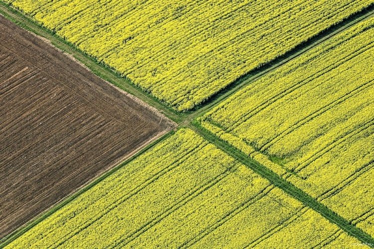    Ученые ЮУрГУ получили патент на геоинформационную систему «УралГИС Агро» с космическими данными