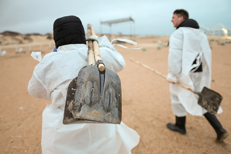    Пляжи продолжают чистить от нефтепродуктов, сообщили сегодня утром местные волонтеры в Краснодарском крае.   
Фото: © Belkin Alexey / news.ru / www.globallookpress.com