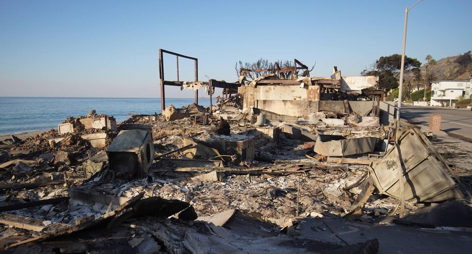    Michael Ho Wai Lee / Global Look Press