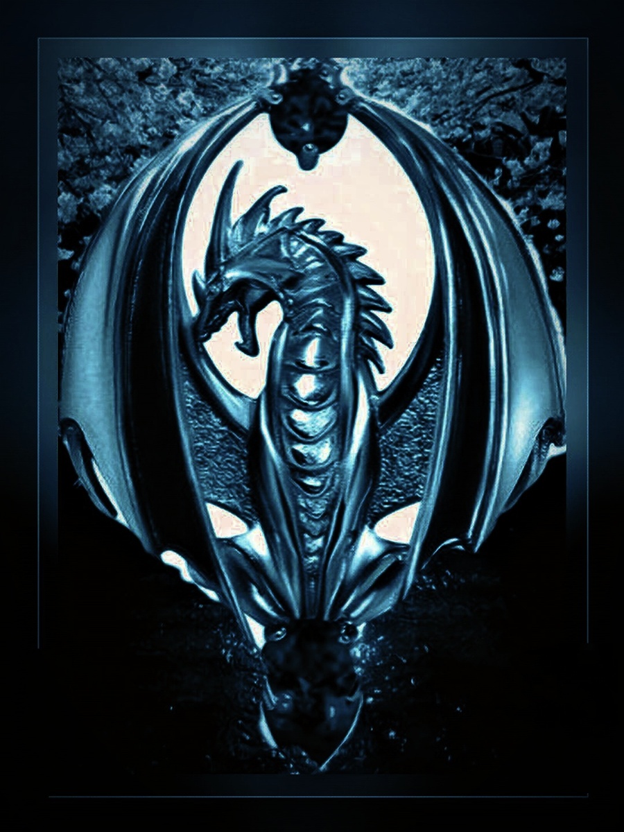 Фотоколлаж автора статьи 