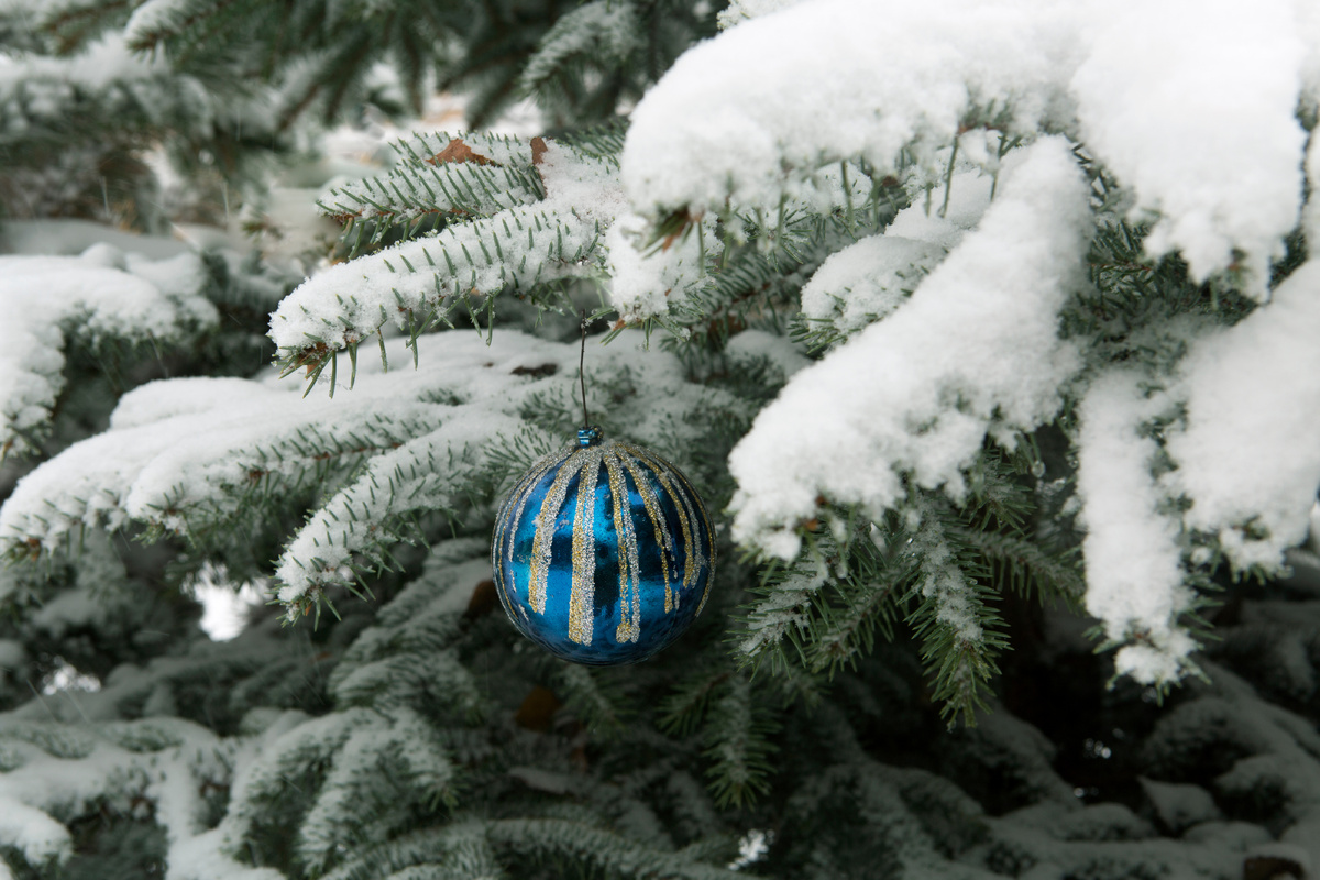 фото: Nikolay Gyngazov/Global Look Press