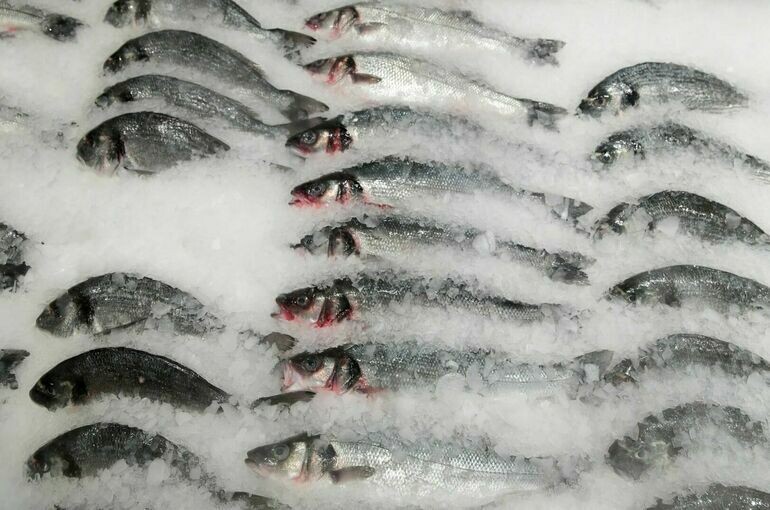   Василий Кузьмиченок / АГН Москва