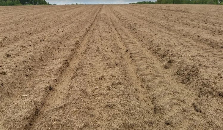    Где в России самый длинный полевой период, а где самый короткий