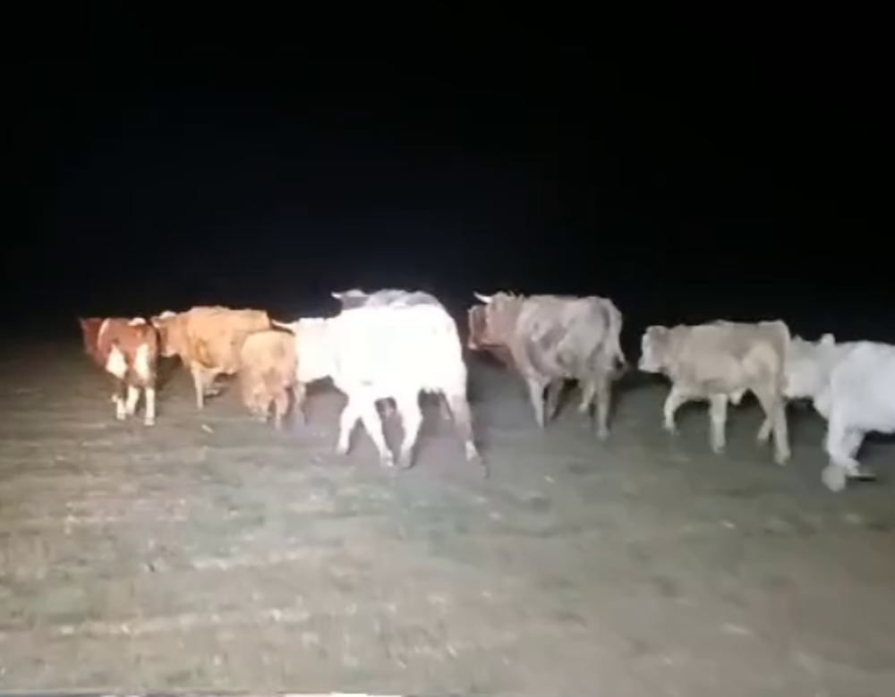 Нападут на волгоград. Подрыв школ в волгограде. Угроза взрыва в школе. Волгоград сбросил с окна. Фото новоаннинский волгоградская люди.
