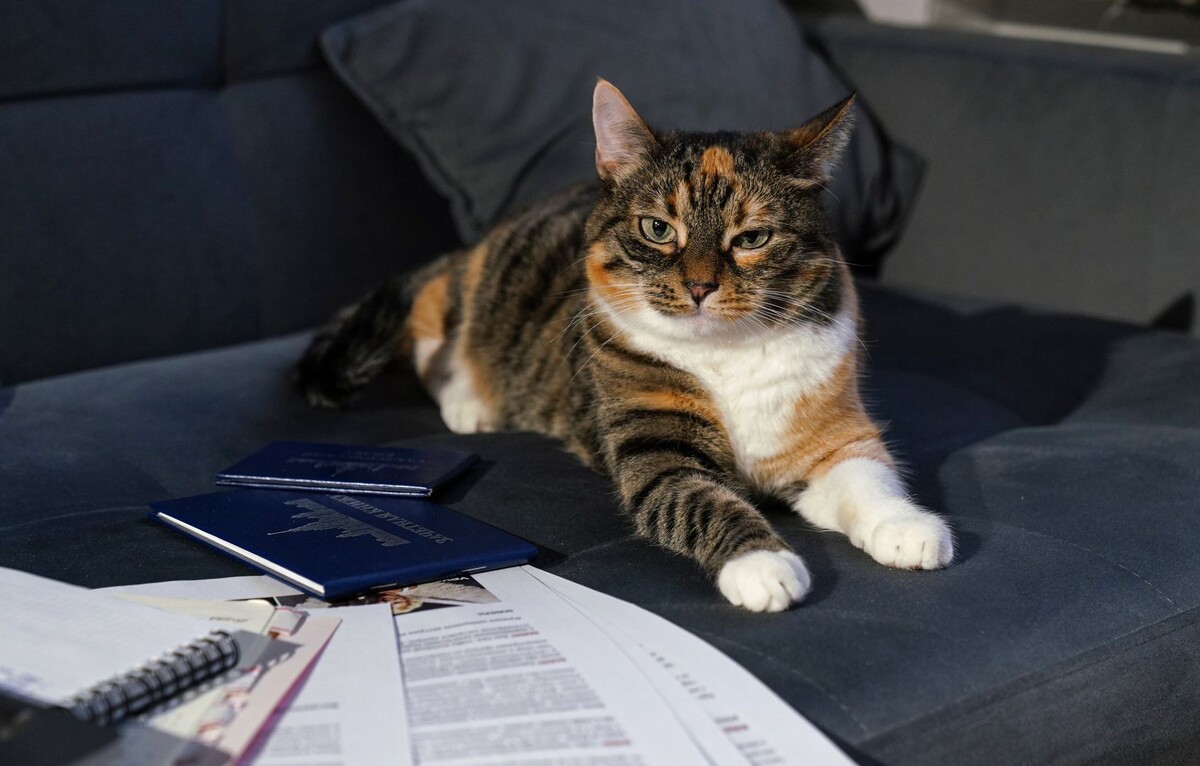     / Источник: © ИЗВЕСТИЯ/Анна Селина